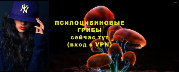 ALPHA PVP Киреевск