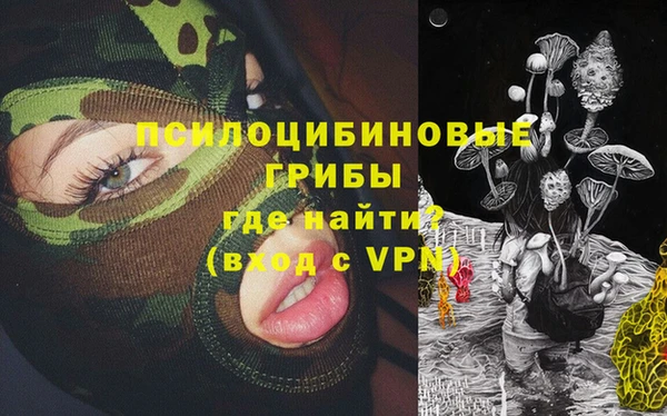 ECSTASY Кодинск